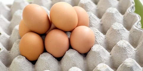 Eggs