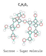 C12H22O11 Sucrose sugar molecule