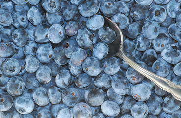 Spoonful of Blueberries
