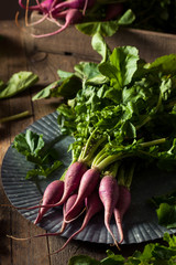 Raw Organic Purple Radishes