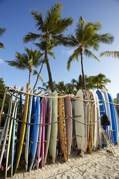 Row of surfboards on beach, Waikiki, Oahu, Hawaii, USA