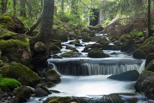 Stream in forest photographed with long exposure