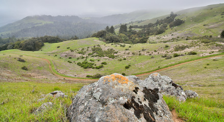 Fototapeta na wymiar Foggy Spring at Russian Ridge Open Space Preserve, Santa Clara County, California