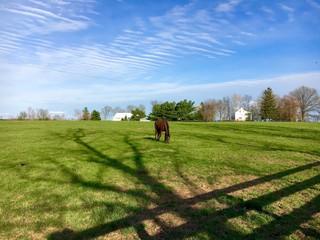 Countryside