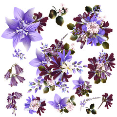 Obraz premium Collection or set of realistic vector field flowers for design