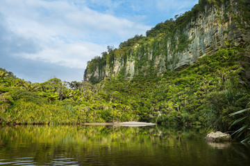 Fototapeta na wymiar Porarari River in New Zealand