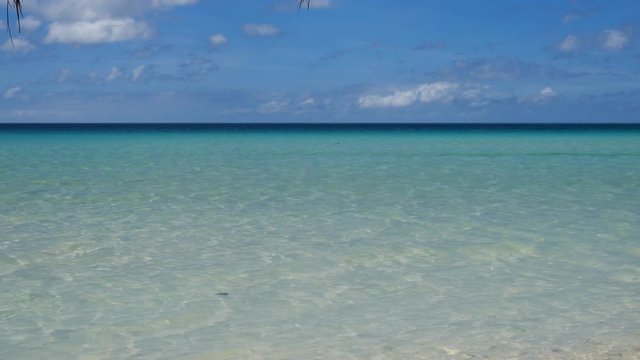 UHD tilt up of the peaceful tropical seascape