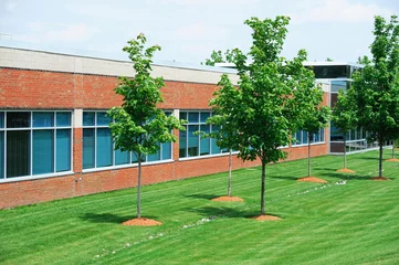 Crédence de cuisine en verre imprimé Bâtiment industriel industrial building exterior and green tree in spring