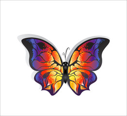 Bright Butterfly