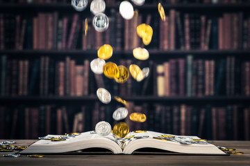 お金が降りそそぐ本