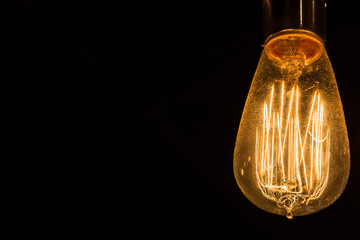Vintage Edison Light Bulbs hanging against a black background
