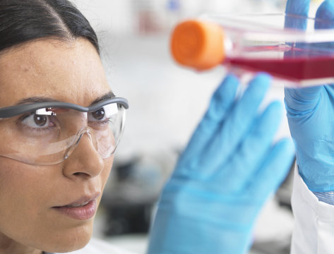 Close up of cell biologist holding a flask containing stem cells, cultivated in red growth medium, to investigate disease