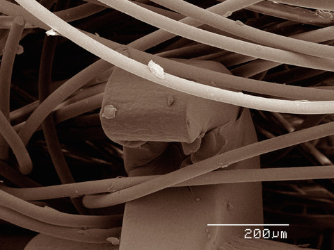 Coloured SEM of hook and loop fastener