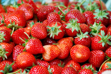 Fresh strawberry