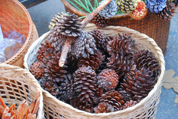 The pine cones painted in basket at Chiangmai, Northern Thailand