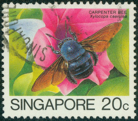 stamp printed in Singapore shows carpenter bee