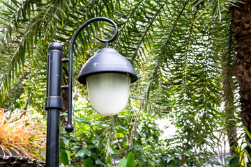 Street lamp,Post lamp in the park