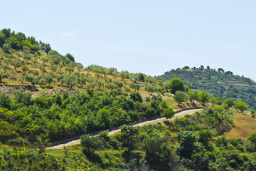 Obraz premium Landscape