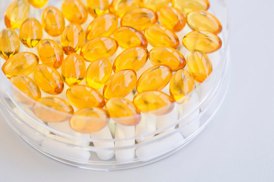 Close up of fish oil capsules in petri dish
