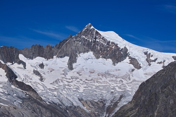 Fototapeta na wymiar Aletschhorn and Aletschgletscher, view from Eggishorn