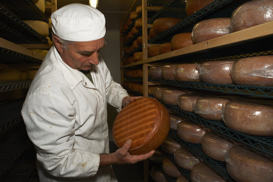 Senior man checking cheese round at farm factory