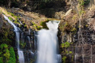 Obraz premium 白糸の滝・富士山