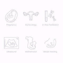 Medicine and pregnancy vector line icon