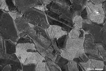 Scanning Electron Micrograph of fracture surface of stainless steel, rouged and etched sample