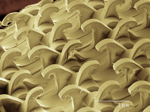 Coloured SEM of hook and loop fastener