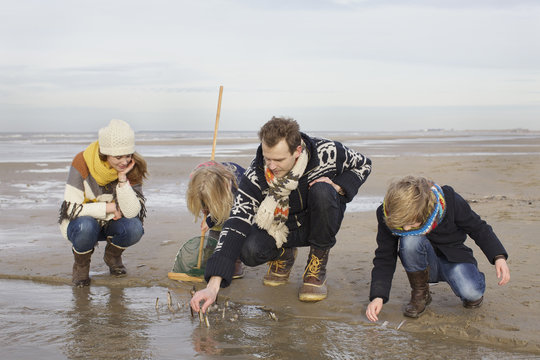 Mid adult parents with son and daughter searching for seashells on beach, Bloemendaal aan Zee, Netherlands
