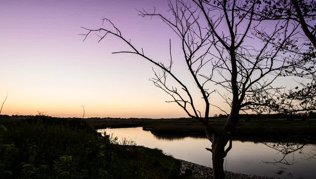 Sunset Time Lapse Silohette Of a Tree, Clouds,  River Reflections 4K