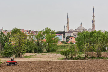 Farm field and Selimiye mosque