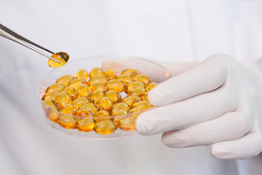 Removing fish oil capsules from petri dish with tweezers