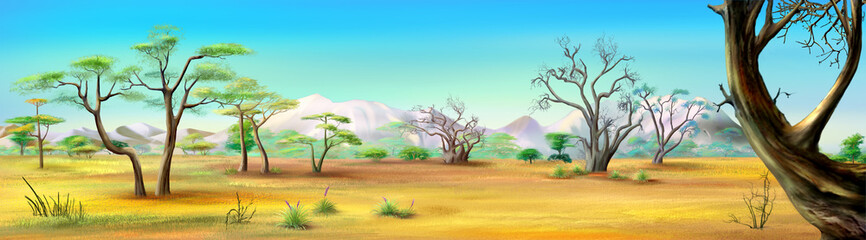 African Savannah. Image One © multipedia