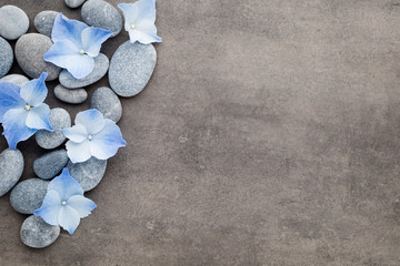 Fototapeta na wymiar Spa stones and flowers on grey background.