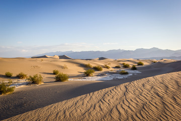 Fototapeta na wymiar Death Valley National Park, Mesquite Flat Sand Dunes at sunrise, California, USA