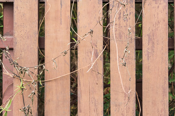 Wooden fence