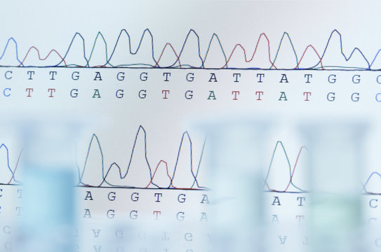 DNA sequencing. Computer monitor displaying results of automated DNA sequencing with defocused microcentrifuge tubes in the front