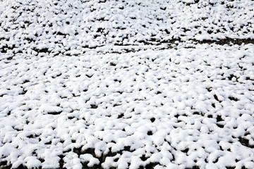Stones under snow