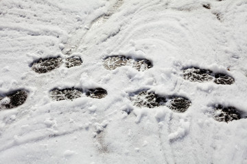 Footprints in the snow