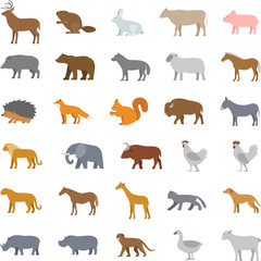 Vector set flat domestic animals. Modern collection flat wild animals. Line property insurance and accident insurance.