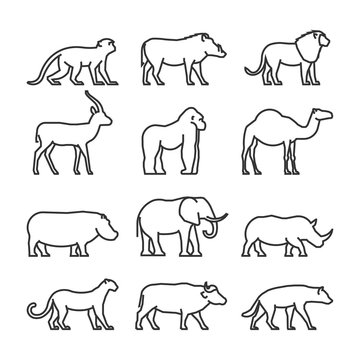 Vector set outline African animals. Vector line silhouette of monkey, warthog, lion and antelope. Geometric linear animals of Africa. The outline silhouette gorilla, camel, hippo and elephant.