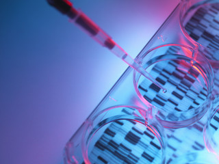 Pipetting sample into tray for DNA testing
