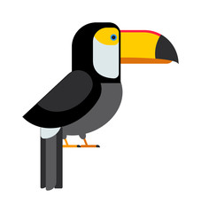 Toucan ramphastos toco sitting on tree branch and tropical wild colorful bird flat vector. 