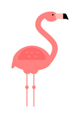 Cool pink decorative flat lovely and beauty flamingo exotic zoo animal vector illustration.