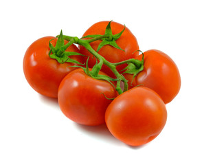 tomatoes Isolated on white background
