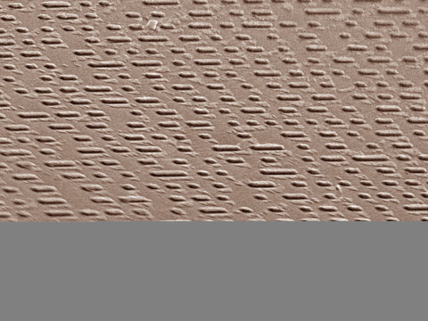 Coloured SEM of code on compact disc