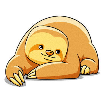 funny cartoon cute fat sloth illustration