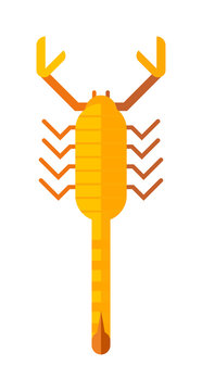 Scorpion yellow silhouette insect animal vector illustration
