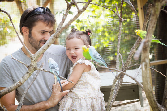 Father and baby daughter looking at budgerigar parakeets at zoo